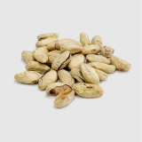Jackfruit Seeds (Artocarpus heterophyllus)